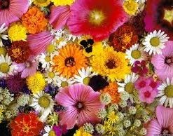 Mixed Flowers