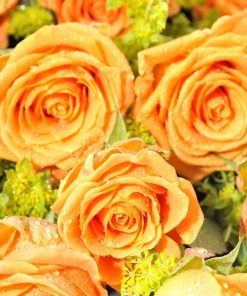 24 Luxury Orange Roses