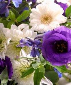 White And Blue Hantied