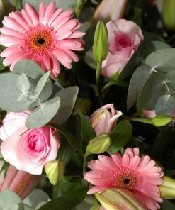 Pink Roses And Star Gazer Handtied