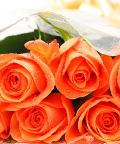 Half A Dozen Tropical Orange Roses