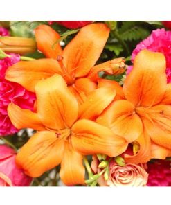 Bright And Beautiful