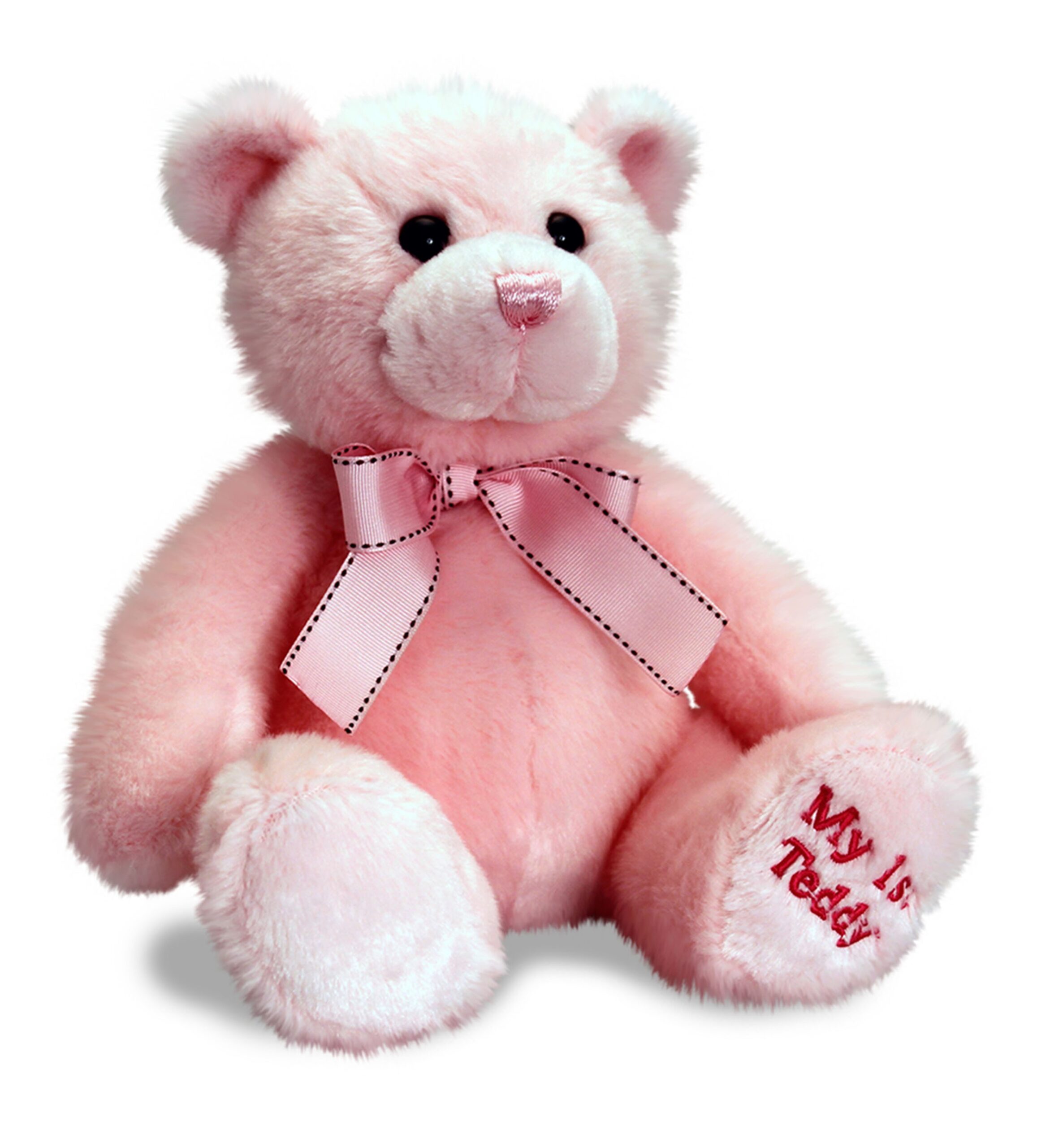 My First Teddy Bear