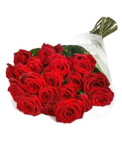 20 Premium Red Roses