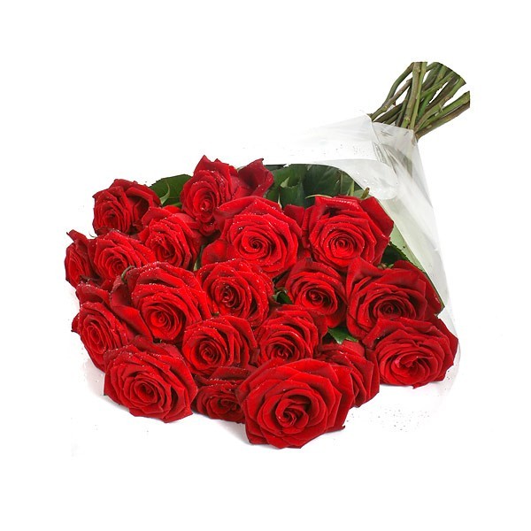 20 Premium Red Roses
