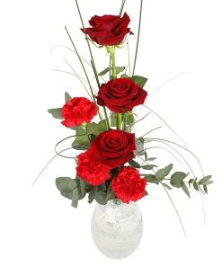 Red Roses and Carnations