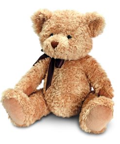 28cm Sherwood Bear