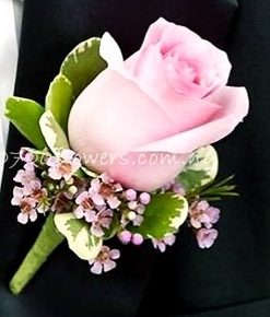 Pink rose and wax bouttoniere
