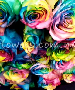 Multi Coloured Rose Bouquet